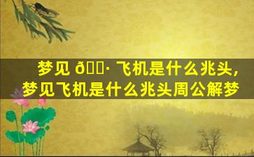 梦见 🌷 飞机是什么兆头,梦见飞机是什么兆头周公解梦